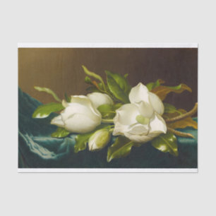 Magnolias auf Light Blue Velvet Tuch von M J Heade Seidenpapier
