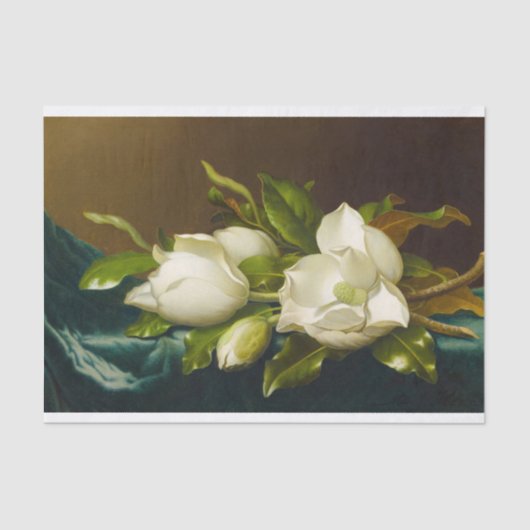 Magnolias auf Light Blue Velvet Tuch von M J Heade Seidenpapier (Vorderseite)