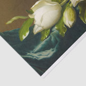 Magnolias auf Light Blue Velvet Tuch von M J Heade Seidenpapier (Ausschnitt)