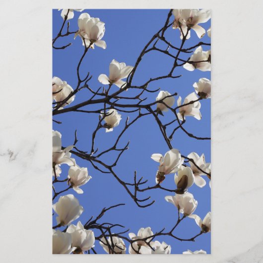 Magnolias blühen briefpapier (Vorderseite)