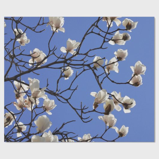 Magnolias blühen geschenkpapier (Flach)