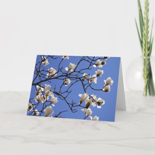 Magnolias blühen karte (Vorderseite)