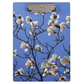 Magnolias blühen klemmbrett (Vorderseite)