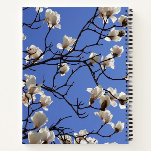 Magnolias blühen notizblock (Rückseite)