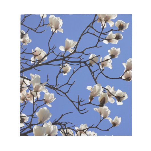 Magnolias blühen notizblock (Vorderseite)