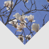 Magnolias blühen seidenpapier (Ausschnitt)