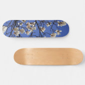 Magnolias blühen skateboard (Horizontal)