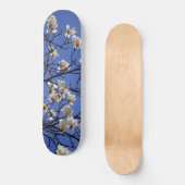 Magnolias blühen skateboard (Vorderseite)