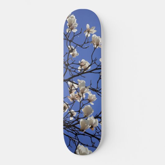 Magnolias blühen skateboard (Vorderseite)