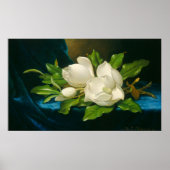 Magnolias - Martin Johnson Heade Fine Art Poster (Vorne)