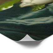 Magnolias on Light Blue Velvet ,Famous Painting Poster (Ecke)