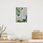 Magnolias Poster (Küche)