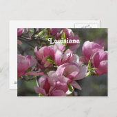 Magnolias Postkarte (Vorne/Hinten)