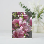 Magnolias Postkarte (Stehend Vorderseite)