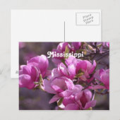 Magnolias Postkarte (Vorne/Hinten)