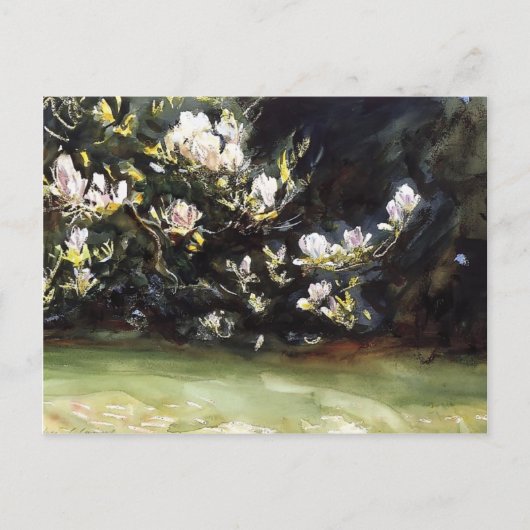 Magnolias von John Singer Sargent Postkarte (Vorderseite)