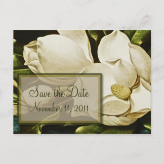 Magnolias Wedding Save the Date Postcard Ankündigungspostkarte