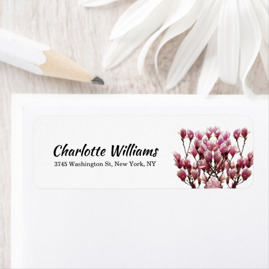 Magnolias Weiße Blumen Elegante Beruflich Moderne (Insitu)