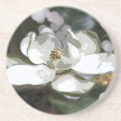 Magnolie 2760 getränkeuntersetzer (Vorne)