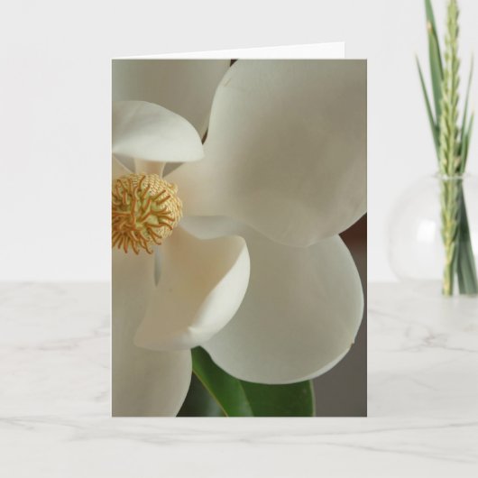 Magnolie 2 karte (Vorderseite)