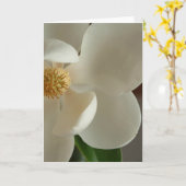 Magnolie 2 karte (Gelbe Blume)