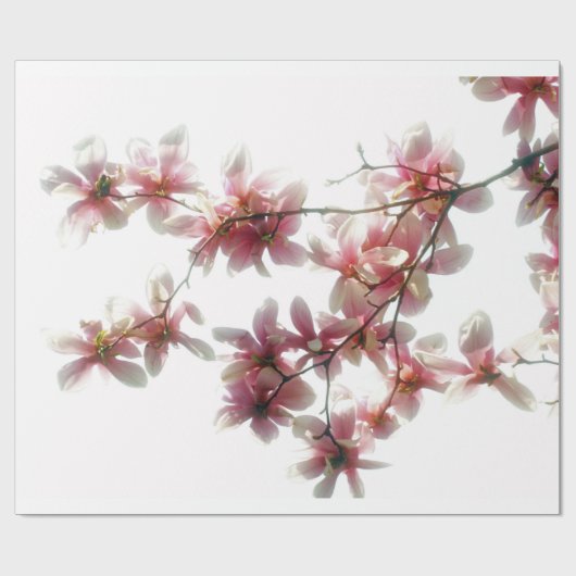 Magnolie blüht Packpapier (Flach)