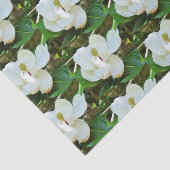 Magnolie blüht Seidenpapier (Ausschnitt)