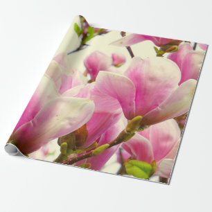 Magnolie Blumen Floral Botanisch Blühen Chic  Geschenkpapier