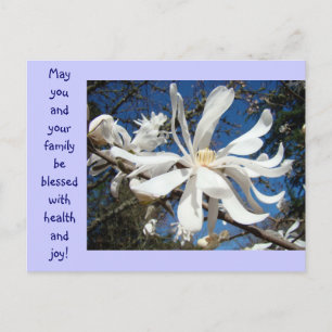 Magnolie-Blumen-Postkarten Blaue Himmel Blumenkart Postkarte