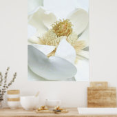 Magnolie Blüte                        Poster (Küche)