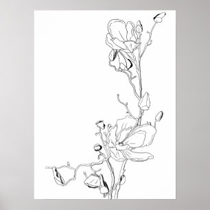 Magnolie Botanische Strichzeichnung Poster