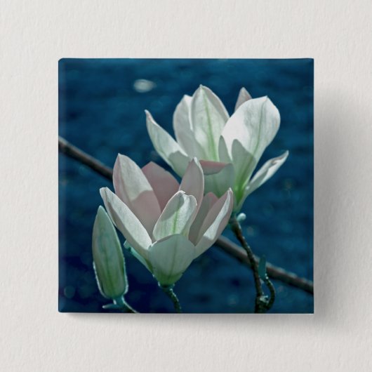 Magnolie Button (Vorderseite)
