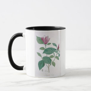 Magnolie entfärben, graviert durch Legrand (die Tasse