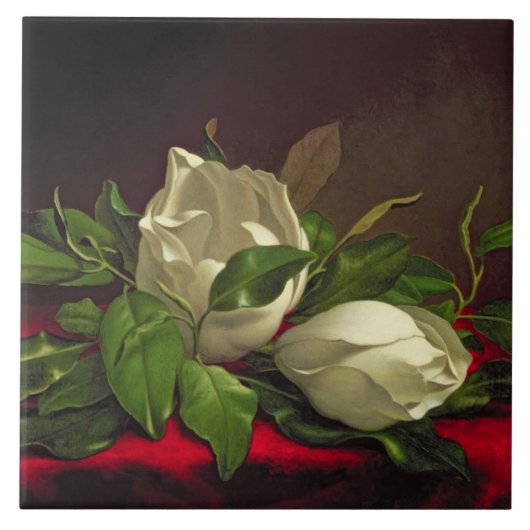 Magnolie Fliese (Vorderseite)