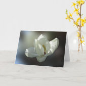 Magnolie Grandiflora Karte (Gelbe Blume)