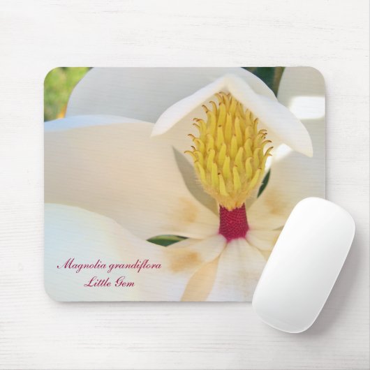 Magnolie Grandiflora 'wenig Gem Mousepad (Mit Mouse)