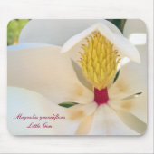 Magnolie Grandiflora 'wenig Gem Mousepad (Vorne)