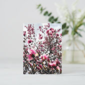 Magnolie in Bloom Postkarte (Stehend Vorderseite)