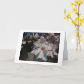Magnolie Karte (Gelbe Blume)