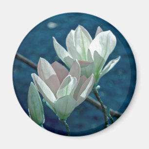 Magnolie Magnet
