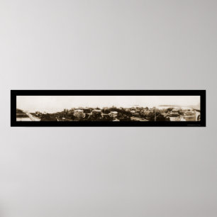 Magnolie MAoceanside-Foto 1907 Poster