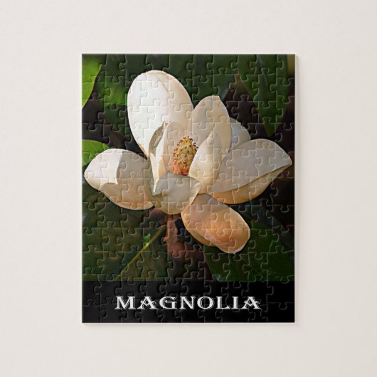 Magnolie (Mississippi und Louisiana) Puzzle (Vertikal)