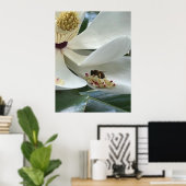 Magnolie NAHAUFNAHME Poster (Heimbüro)