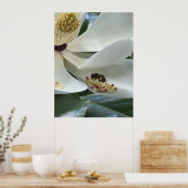 Magnolie NAHAUFNAHME Poster (Küche)