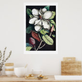 Magnolie Poster (Küche)