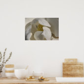 Magnolie Poster (Küche)