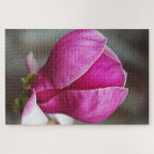 Magnolie Rosa Vollblüte Puzzle (Horizontal)