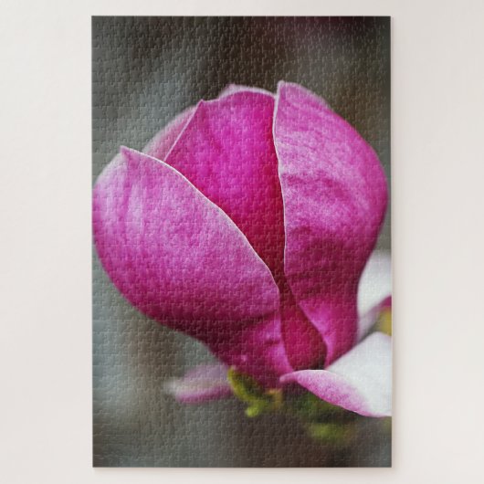 Magnolie Rosa Vollblüte Puzzle (Vertikal)
