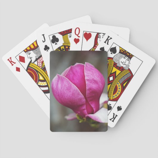 Magnolie Rosa Vollblüte Spielkarten (Rückseite)