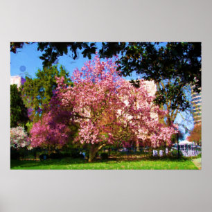 Magnolie Three Poster